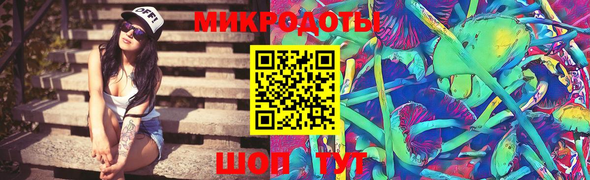 Псилоцибиновые грибы Cubensis  Вход с VPN  Лесосибирск 